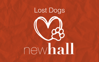 Lost dogs in Newhall