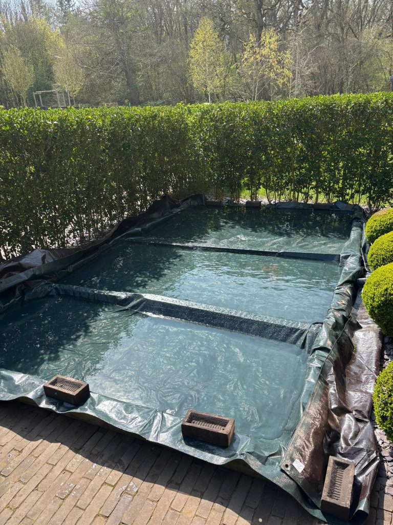 Image shows front garden covered with black plastic, to eradicate the area of leatherjackets.